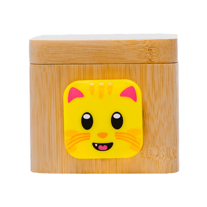 lovebox for kids cat